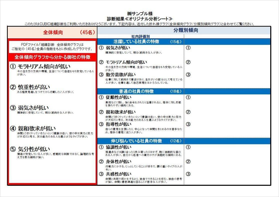 組織診断M オリジナル分析シート