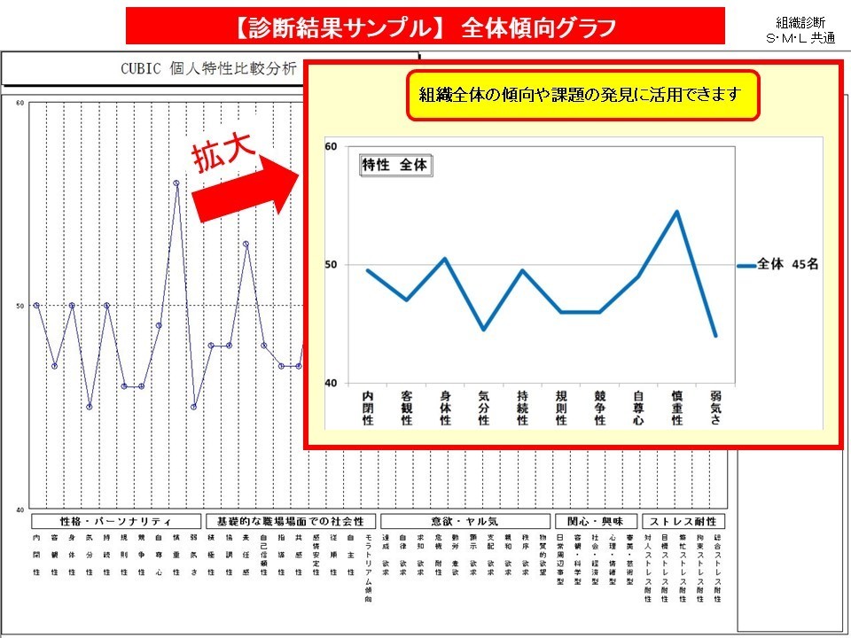 組織診断 全体傾向グラフ