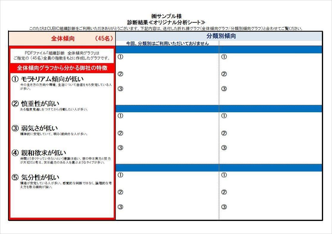 組織診断S オリジナル分析シート