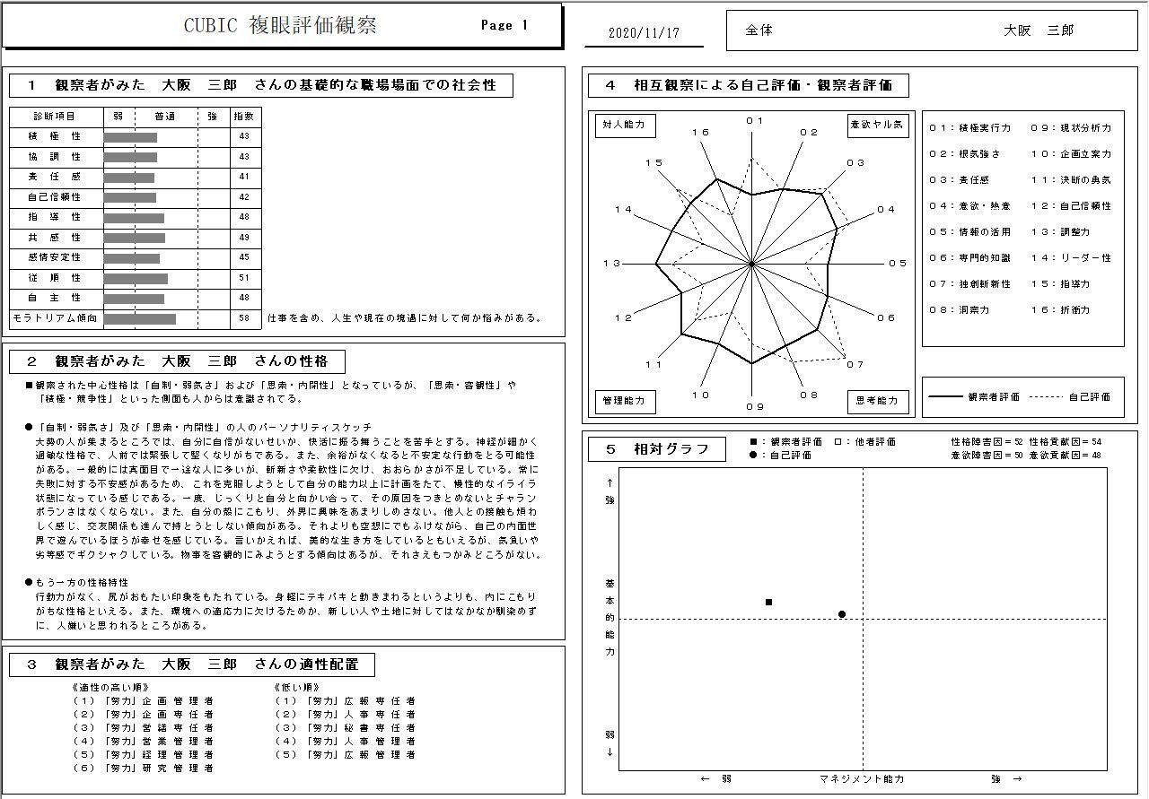 複眼評価観察 帳票サンプル