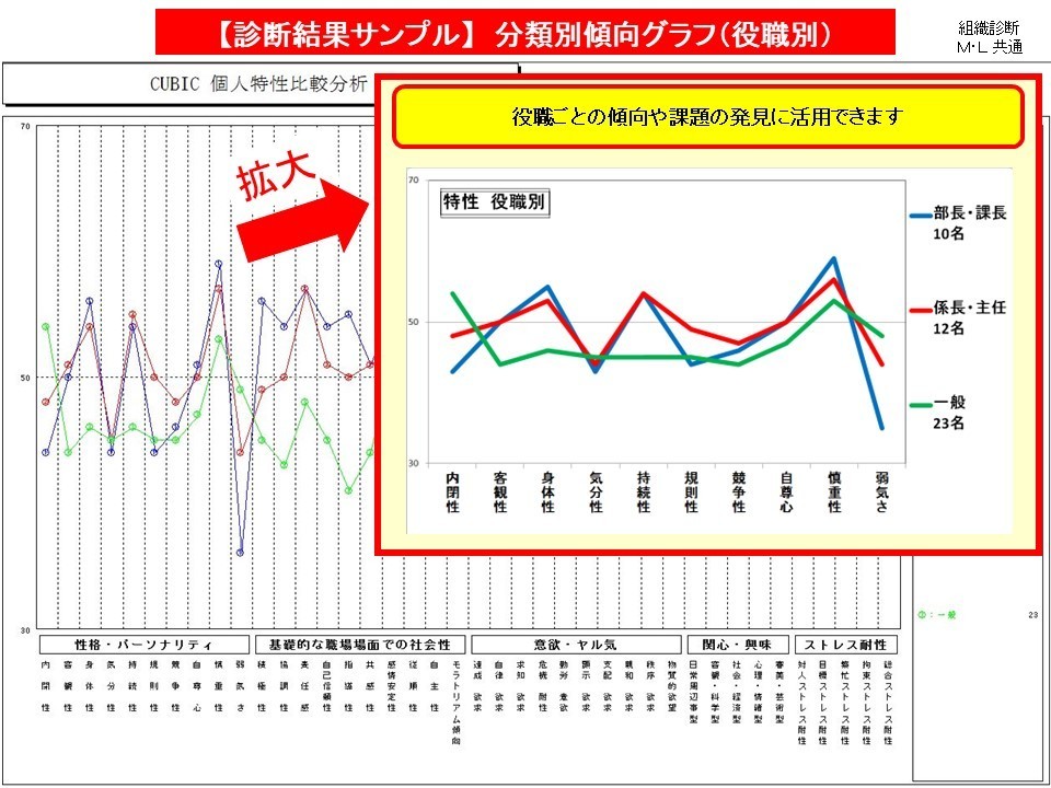 組織診断 分類別傾向グラフ（役職別）