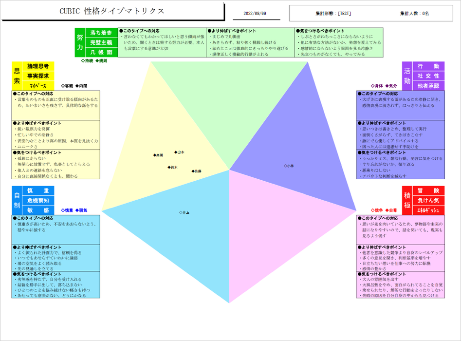 CUBIC for WEB 性格タイプマトリクス