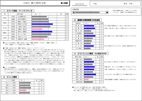 Cubic キュービック 適性検査 E 人事株式会社 人材を見極める