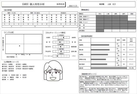 CUBIC for WEB 採用用