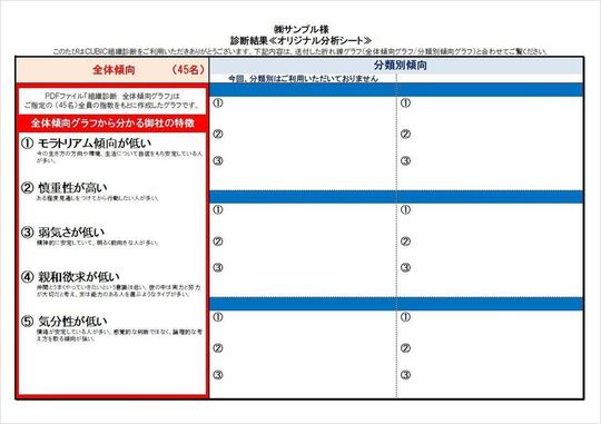 組織診断S オリジナル分析シート