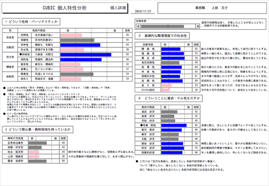 CUBIC for WEB 個人特性1枚目