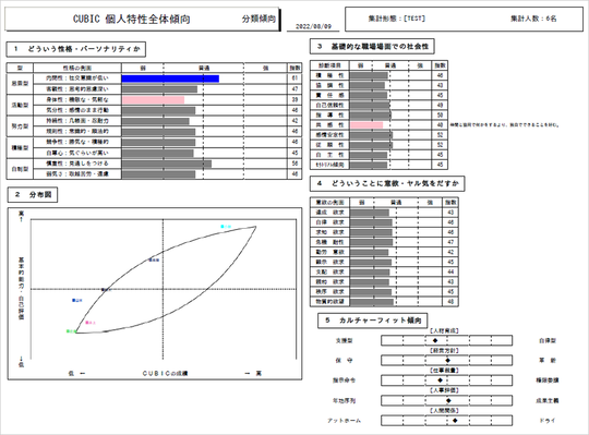 CUBIC for WEB 全体傾向